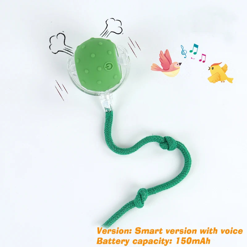 Intelligentes elektrisches Hundeball-Spielzeug, automatischer rollender Ball, wiederaufladbares interaktives Welpen-Trainingsspielzeug, intelligentes Bälle-Spielzeug für Hunde