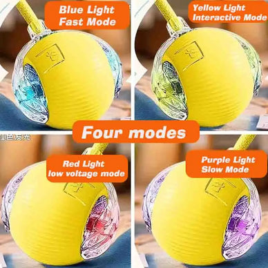 Mehr Freude, gesunde Bewegung für Ihren Hund!