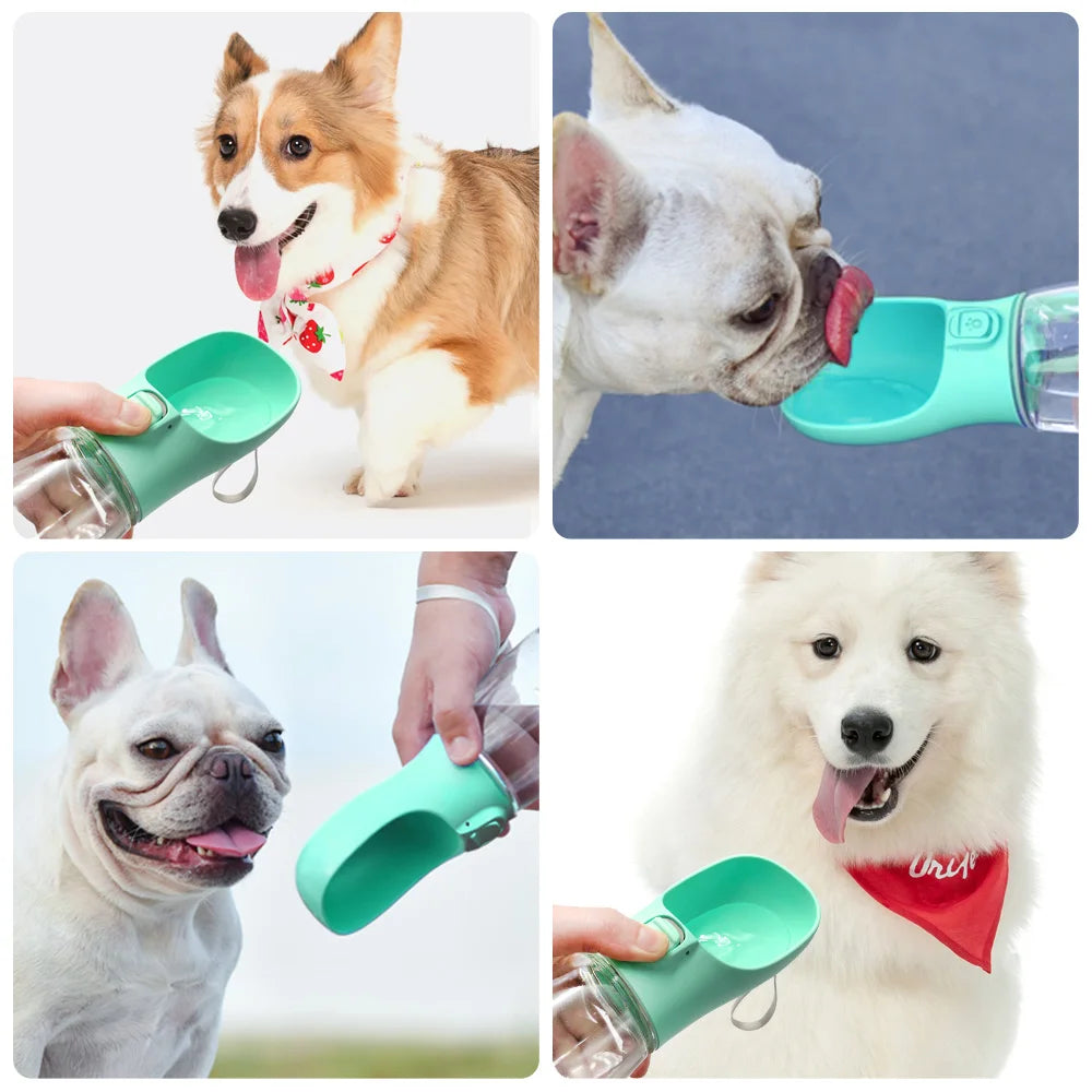 💧 Die Perfekte Hundewasserflasche – Für Frische & Freude Unterwegs! 🐕🌟